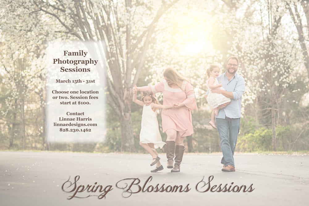 asheville spring pictures